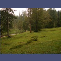 2012-08-25_Regina-F-Rau_Staffelgraben (088).JPG